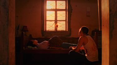 Seeding, Blossoming, Fruiting 