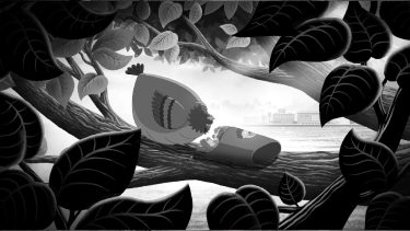 To Bird or not to Bird 