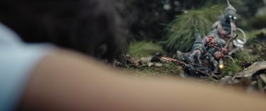 Gnomes